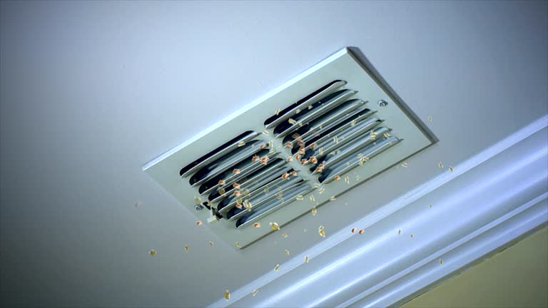 Best Residential Air Duct Cleaning  in Coloma, MI