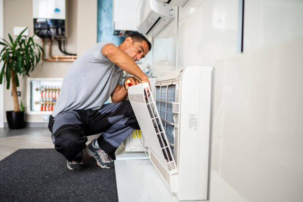 Best Air Duct Sanitizing Services  in Coloma, MI