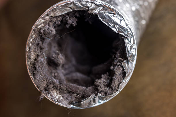 Best Home Air Vent Cleaning  in Coloma, MI