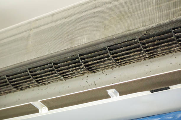 Best Local Air Duct Cleaning Services  in Coloma, MI
