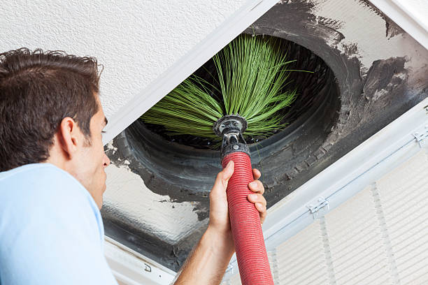 Best HVAC Maintenance and Cleaning  in Coloma, MI